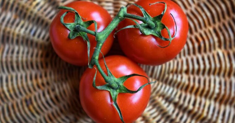 I pomodori: meglio crudi o cotti?